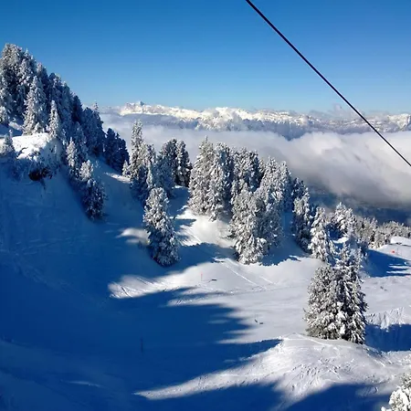 Near Lift *